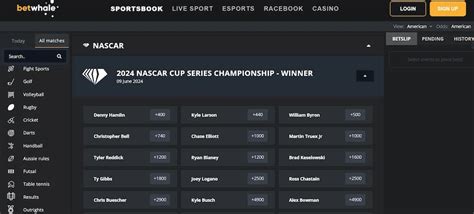 7 Best Online NASCAR Betting Sites in USA [2024].